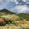 羊蹄山