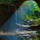 アオサギのいる風景