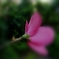 裏から…