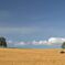 DSC_0964_01_01_01