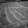 Scale pattern♪
