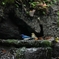 水場の集まり