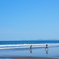海