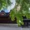 IMG20210723163416