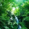 緑の滝　明神谷
