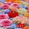 花手水