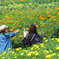 あっちの花は？