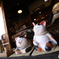 店番の三毛猫