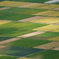 3CA8D844-9F09-41E8-8FCC-7D3A95A328B9