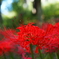 DL01-0008-Z024 (23)