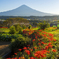 霊峰への紅ロード