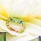 お花の上で一休み