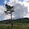 兵庫県 砥峰高原 初秋