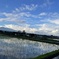雨上がり