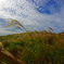 うろこ雲　IMGP0527zz