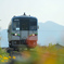 DSC5527