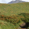 トンネルの先の鳥海山