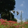 C6E45361-F401-4F95-81BC-F0A3B4087298