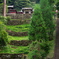 妙義神社
