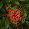 D4807CC8-B2E2-453D-9C90-61198D76891C