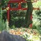 鳥居の前で