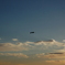 大空に羽ばたく