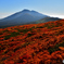 三ツ石山　2021本州一早い紅葉