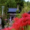 慈恩寺と彼岸花