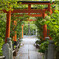 平野神社で。