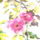 薔薇の誘惑