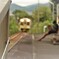 ある無人駅の情景18