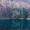 池の辺にて