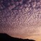 皿倉山　－羊雲－