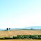 DSC_0256_01_01