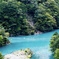 夢の吊り橋
