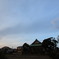 IMG_2524
