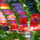umbrella_sky 1