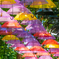 umbrella_sky 2