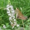 IMG_20201031_185347