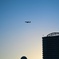 夕焼けと飛行機