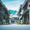 朝の散歩道
