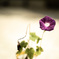 B2266C66-ABC8-4F9C-8209-6E301BF63B24