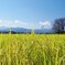 高校時代の通学路