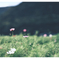 3EE4093D-DBF3-4B2A-8593-F7B919D791B1