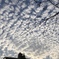 Cirrocumulus