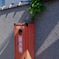 赤と緑