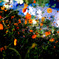 6D73264A-0409-4C85-8120-584E9ED9C975