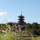 備中国分寺の秋
