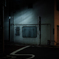 夜の蛇