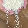 料理のお米との相性の大原則として『お米と同じ産地の特産品を合わせると間違いない！